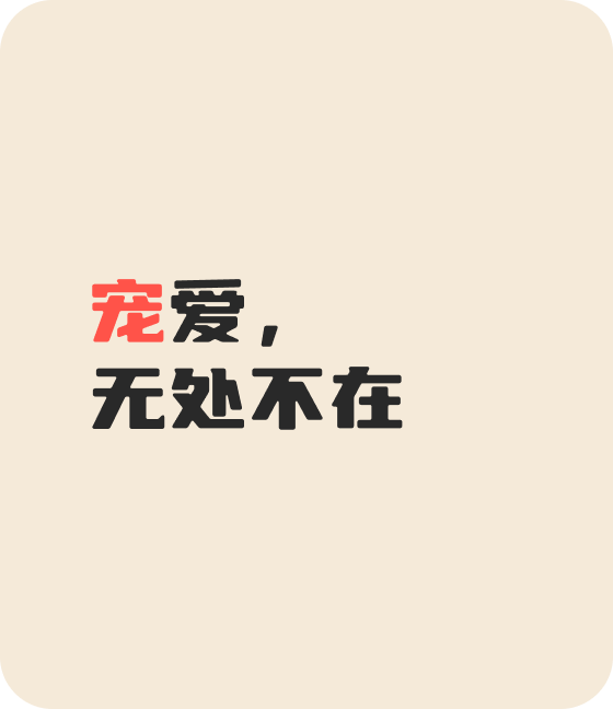 AG旗舰宠物，无处不在