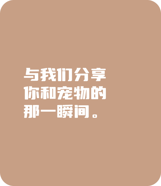 AG旗舰宠物，无处不在